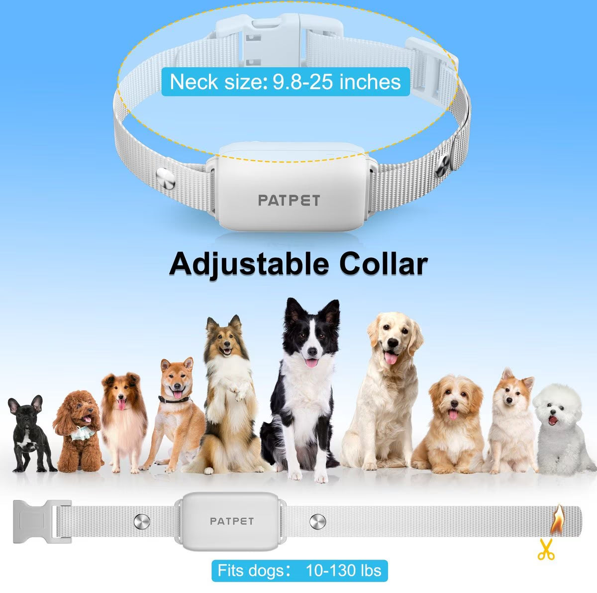 P650 Anti-Bark & Remote Dog Training Collar