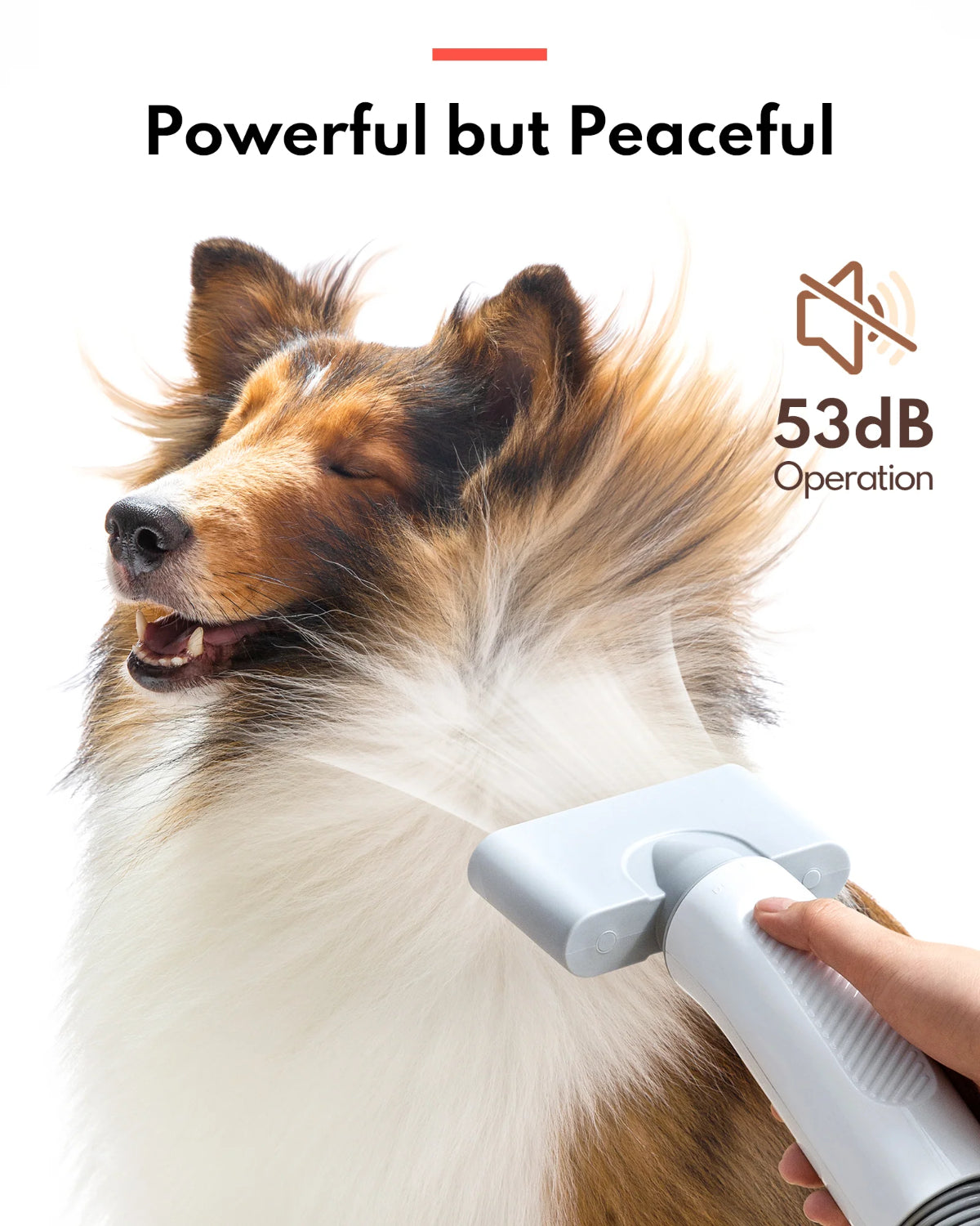 Pet Hair Dryer