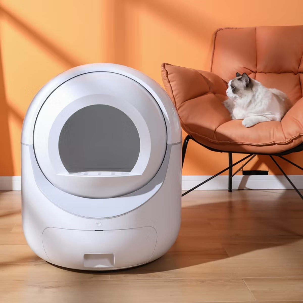 Smart Automatic Cat Litter Box Support 5G&2.4G WiFi for Multiple Cats