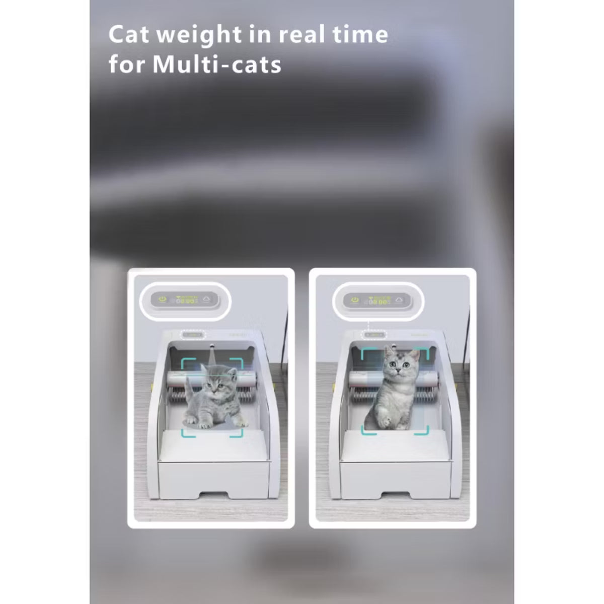 Smart Cat Litter Box Cat Litter Box Wide Opening